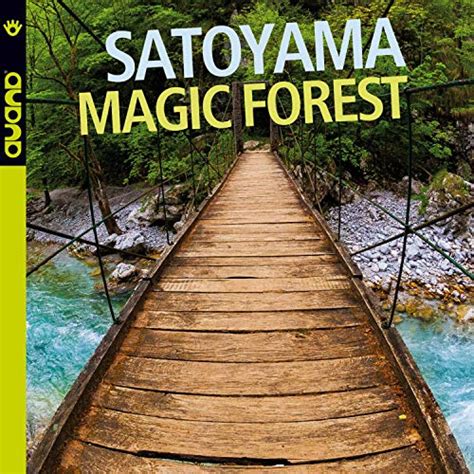Magic Forest Review 2024